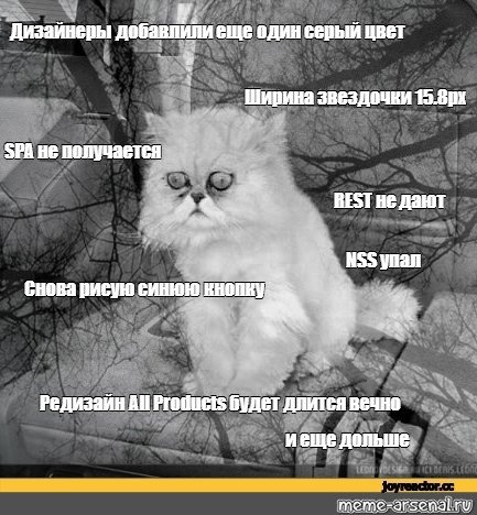 Кот безысходность Мем