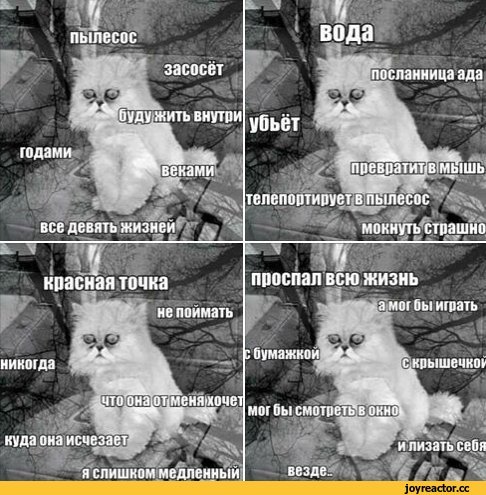 Кота засосало в пылесос Мем