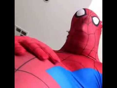 Жирный человек паук