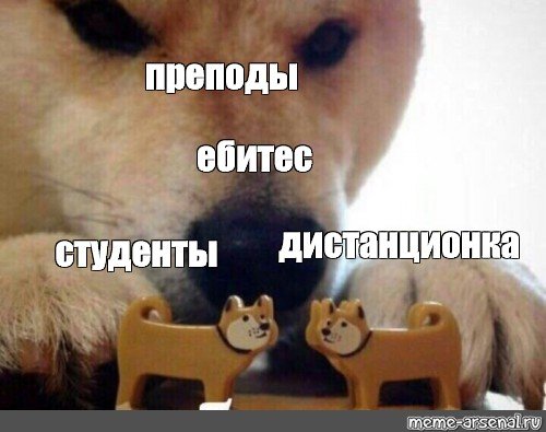 Собачка ебитес