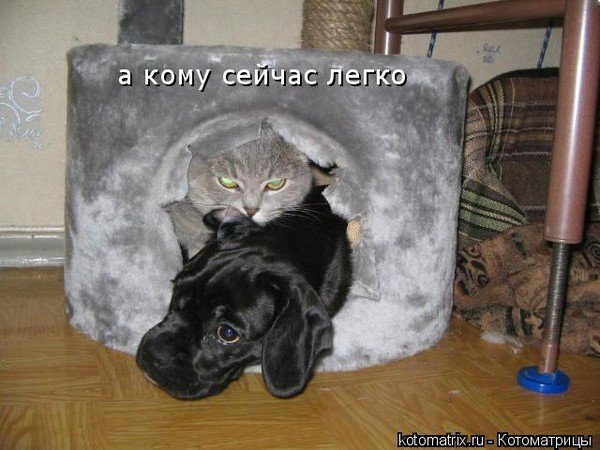 А кому сейчас легко картинки