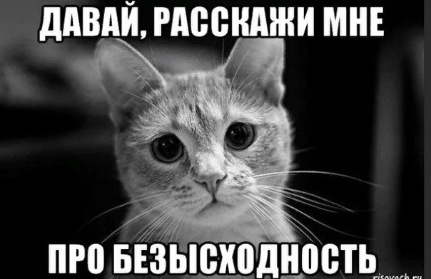 Мем кот безнадежность