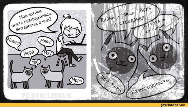 Пост рок мемы