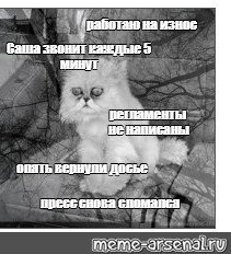 Котик безысходность