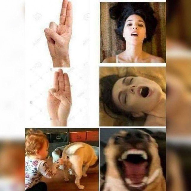 Жесты мемы