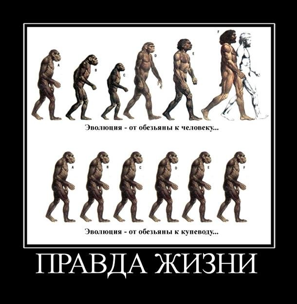 Развитие человека