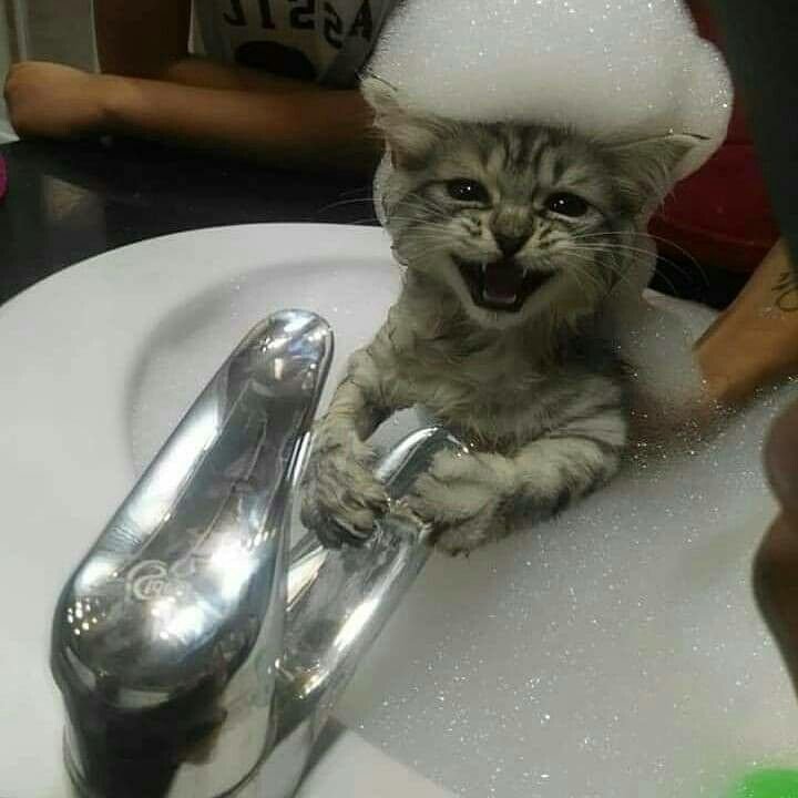 Пенка прикол