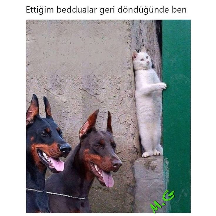 Фотожабы на 3 сентября