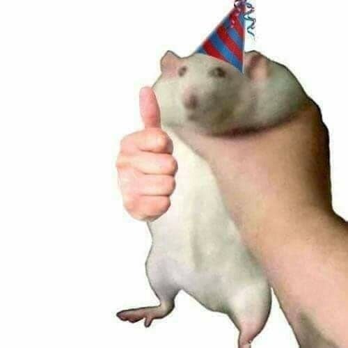 Лови хомяка