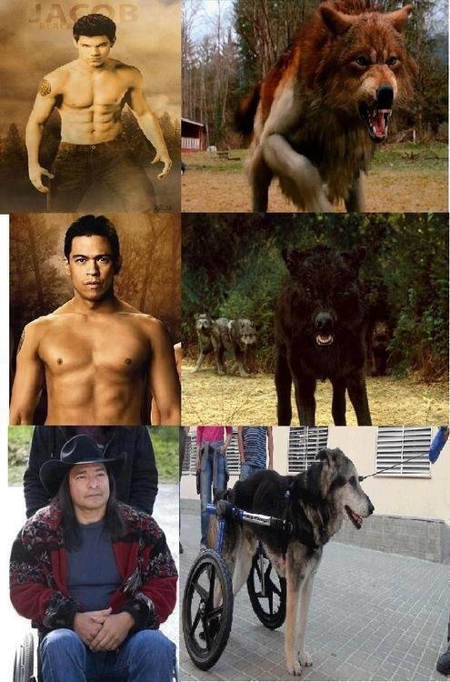 Тейлор Лотнер волк