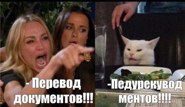 Мем с котом и девушками