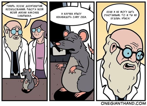 Крысы юмор картинки