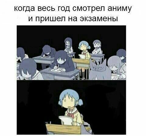 Аниме экзамен