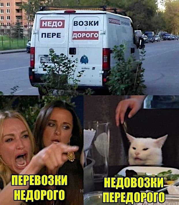 Мем женщина и кот