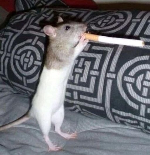 Мышь с сигаретой