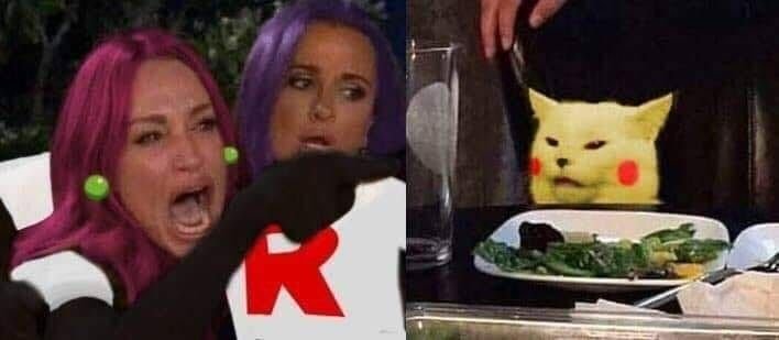 Мем женщина и кот