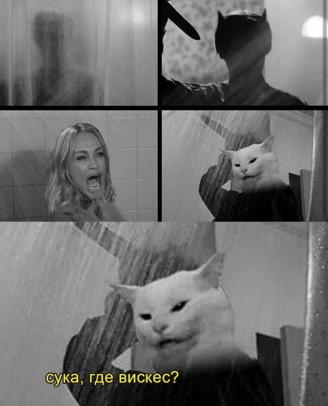 Мем женщина и кот