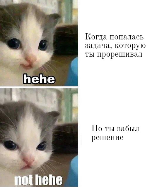 Кот Мем