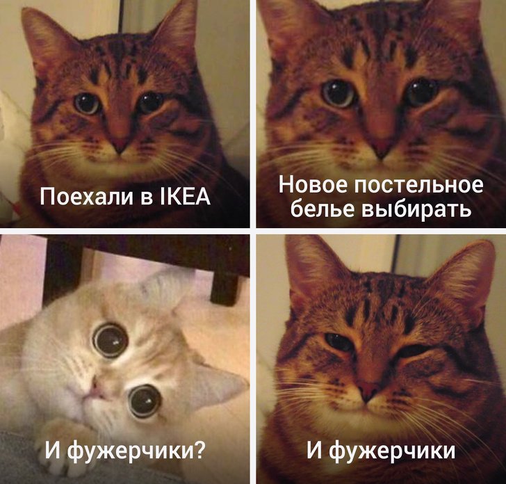 Кот Мем и фужерчики