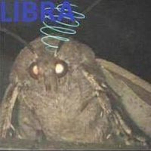 Мемы с мотыльком