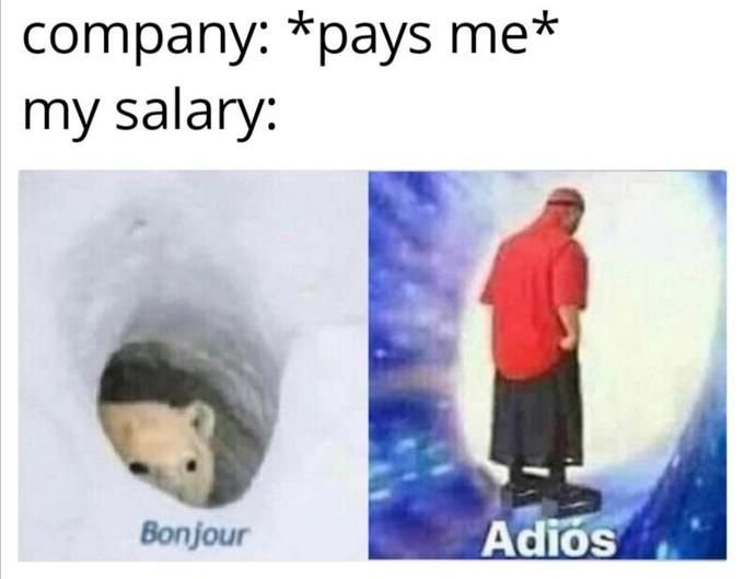 Мем Bonjour с белым медведем