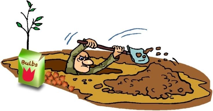 Сам себе яму роешь