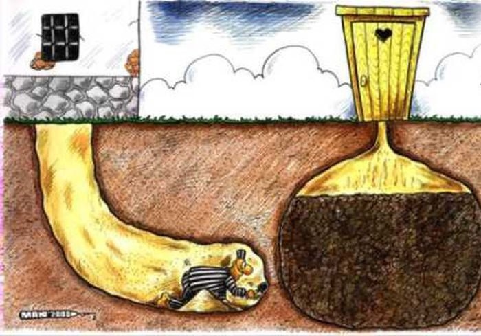 Подкоп в туалет