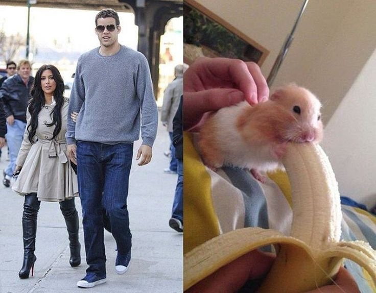 Хомячок и банан