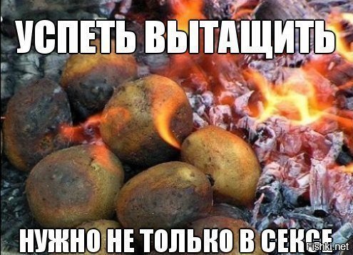 Шутки про жареную картошку