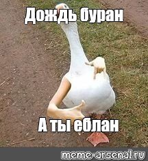 Гусь Мем