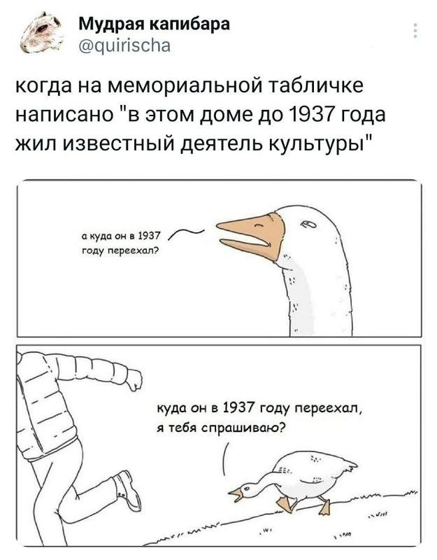 Мемы с гусями