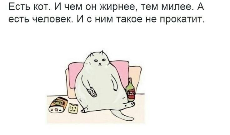 Жирный кот Мем