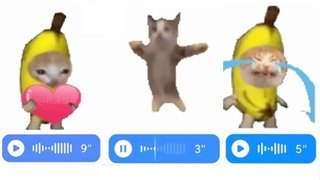 Плачущий кот банан