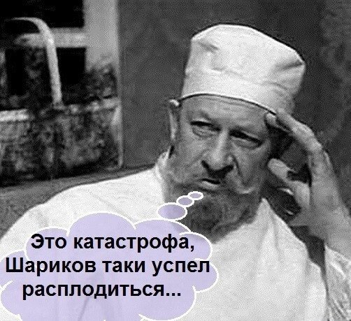 Собака профессор