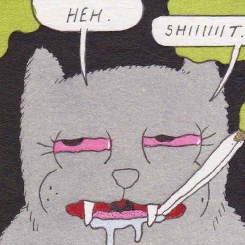 Мемы с нарисованными котами