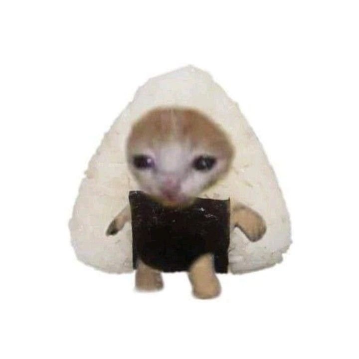 Котик в костюме банана