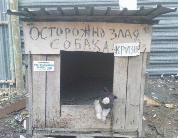 Будка для собаки прикол