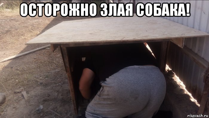 Собачья будка Мем