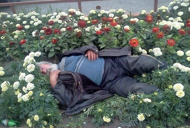 Алкаш в цветах