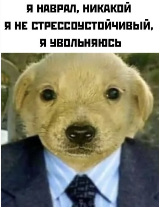 Я вам наврал никакой я не стрессоустойчивый