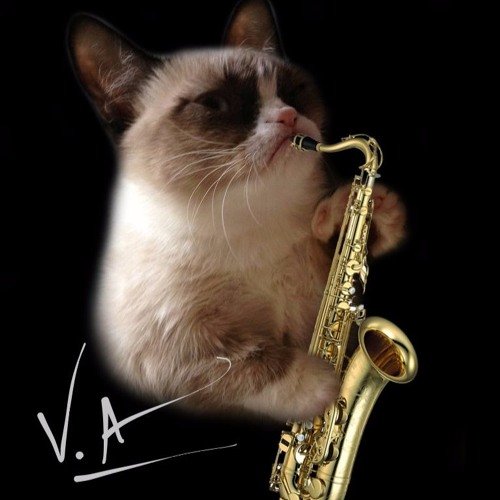 Кот джазмен