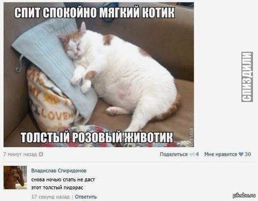 Прикол про Толстого кота