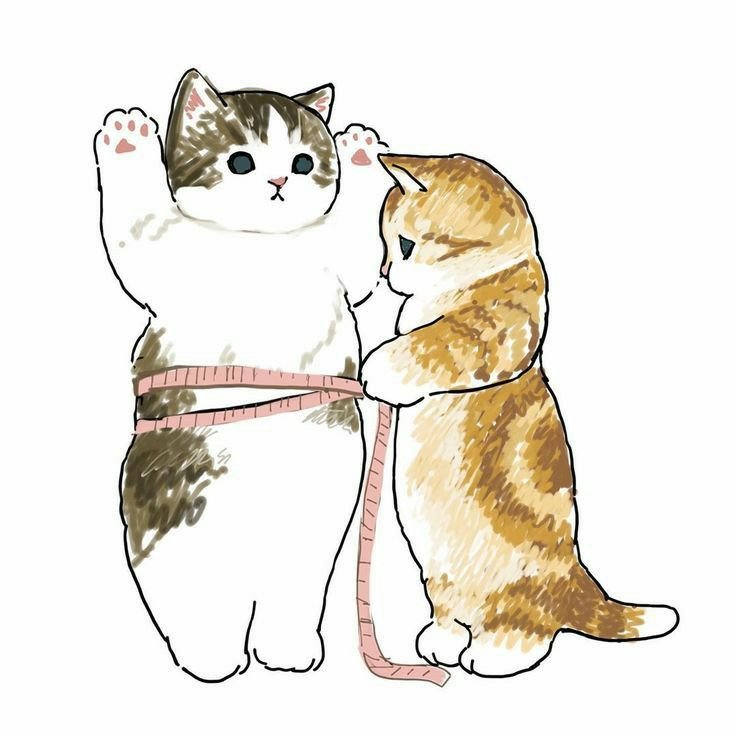 Штош Мем кот