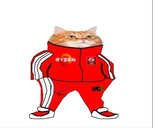 Коты в адидасе