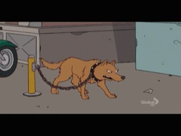 Собака на цепи Мем