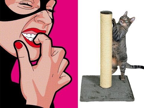 Кот подпиливает ногти