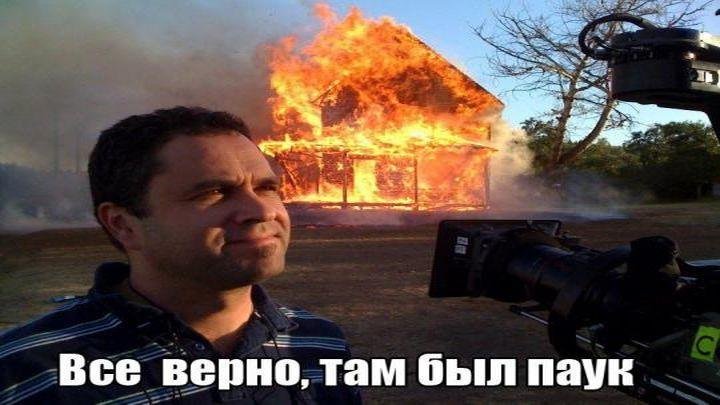 Увидел паука сжег дом