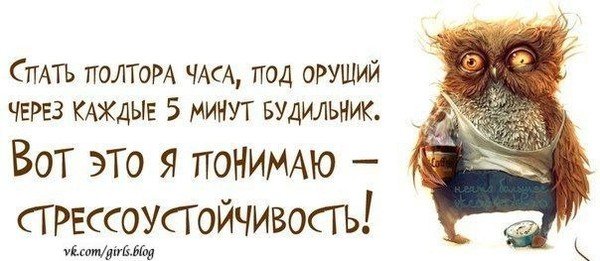 Цитаты про стресс смешные
