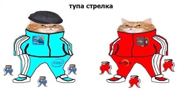 Котик в спортивном костюме