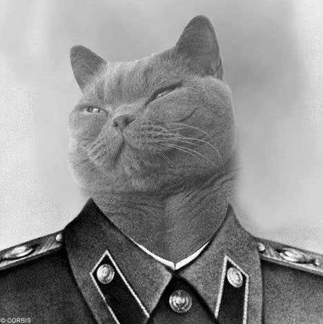 Советский кот